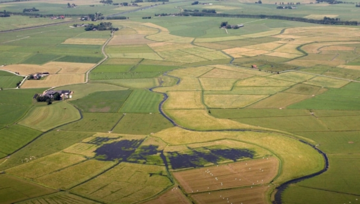 Sunday Stroll through nature of Rietdiep 